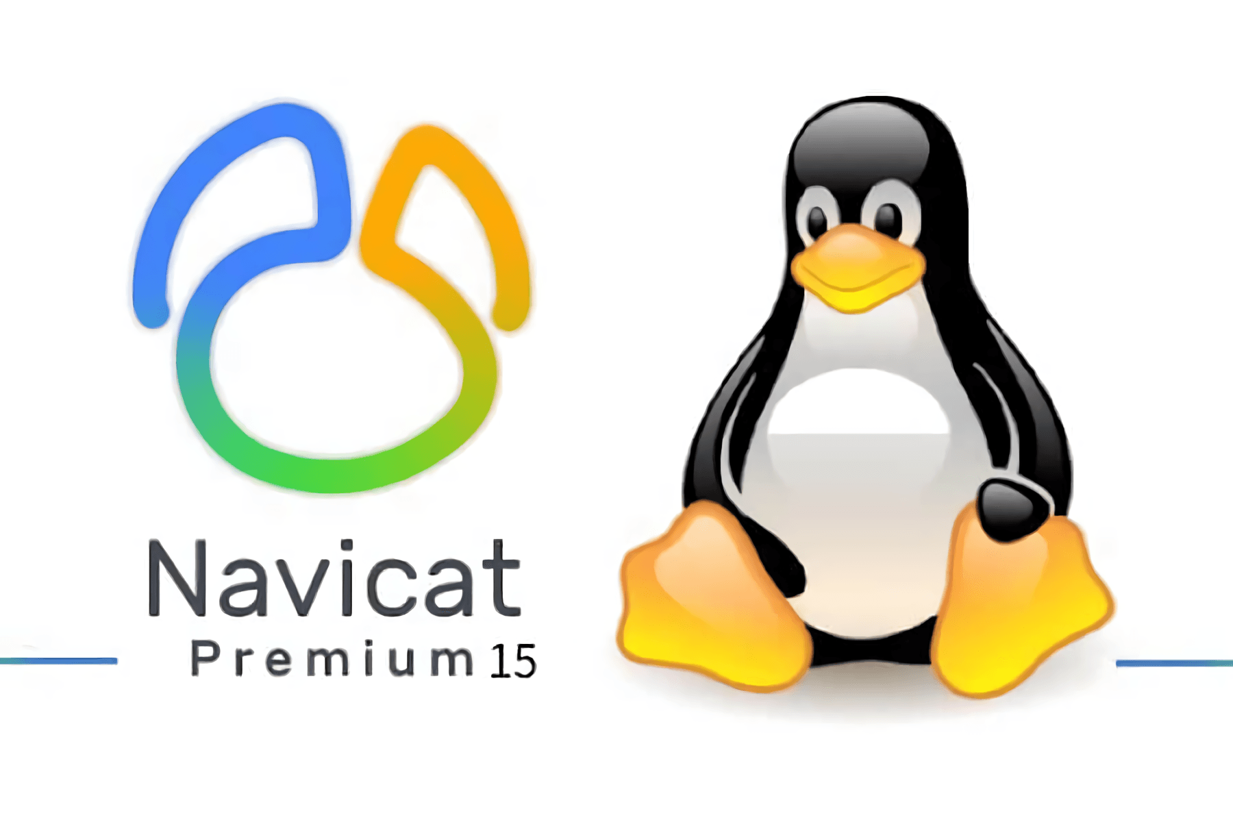 Linux(Ubuntu 18.04)安装破解官方最新版Navicat 15创建快捷启动菜单